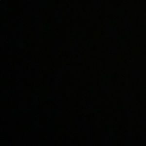 Meet your Posher, Maeson